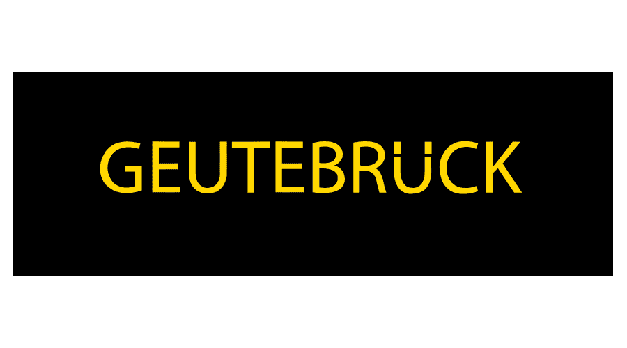 Logo Geutebruck Vidéoprotection Foxis-Elec fournisseur